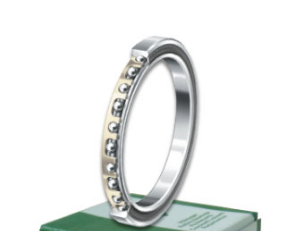 INA CSEG120 bearings